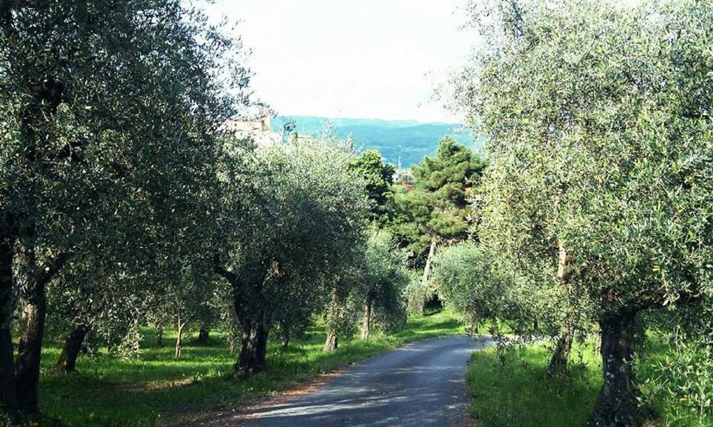 Podere Gianpaolo Pescia Esterno foto